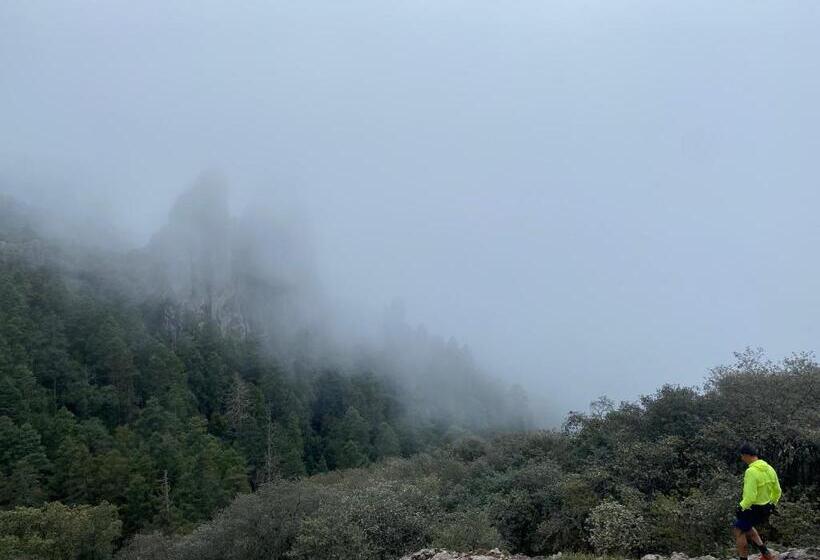 פנסיון Hostal La Roca