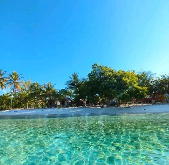 膳宿费 Mandarou Homestay Raja Ampat