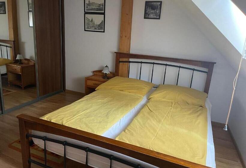 膳宿费 Penzion Olga Hajasova