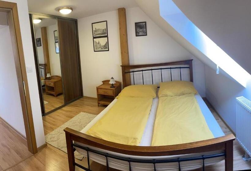 膳宿费 Penzion Olga Hajasova