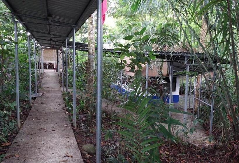 بنسيون Perla Verde Hostel Sarapiquí