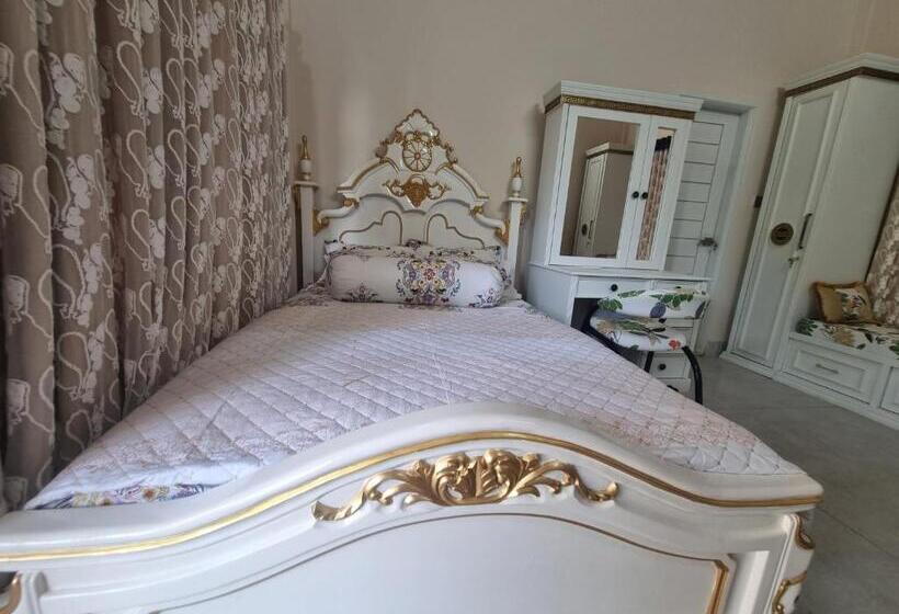 بنسيون The Cozy Nest