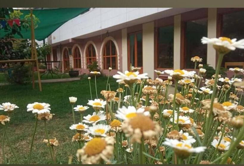 Пансион Wallparisonqopisaccentro