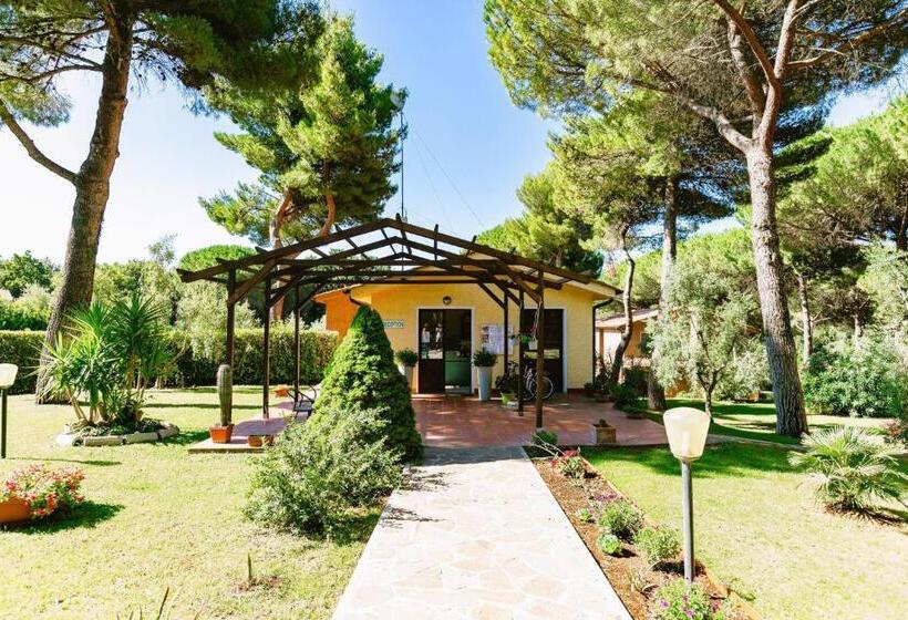 Residence With Swimming Pool In Guardistallo Surrounded By Nature