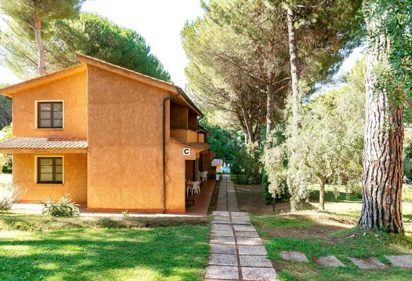 Residence With Swimming Pool In Guardistallo Surrounded By Nature