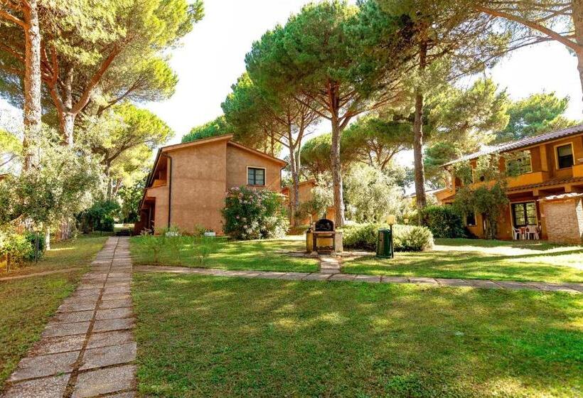 Residence With Swimming Pool In Guardistallo Surrounded By Nature