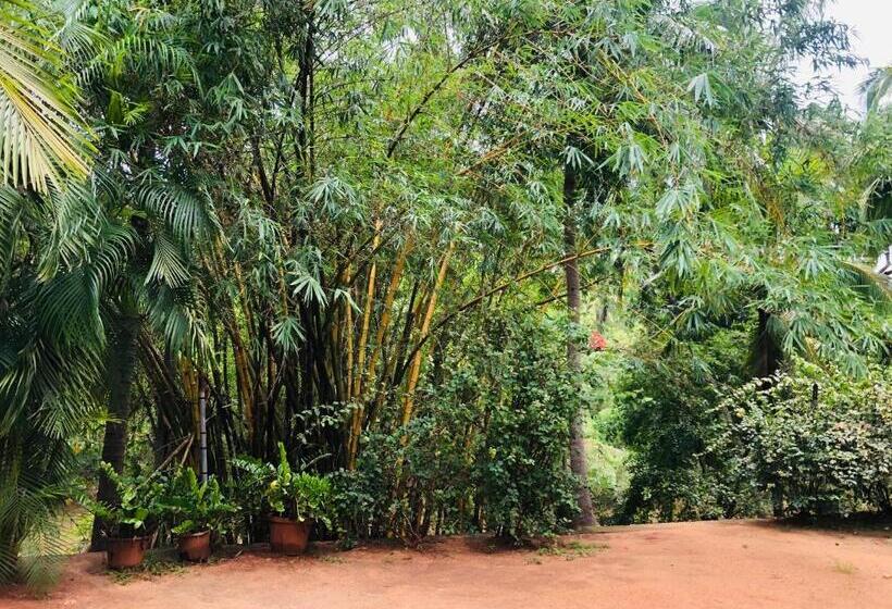 River Garden Hotel Anuradhapura