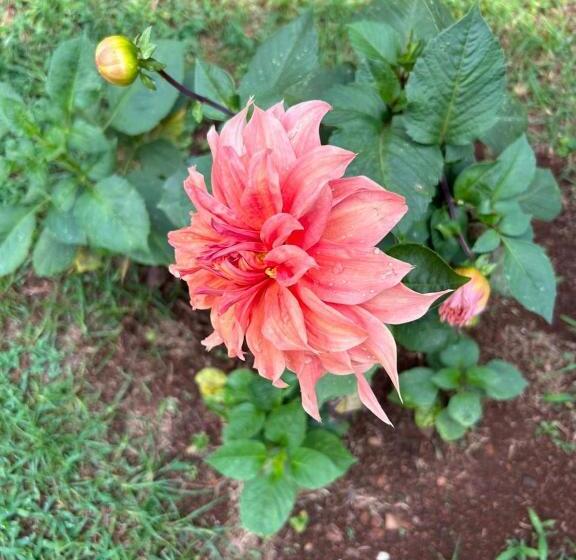 Selvas Eden Resort With River View Near Boat House