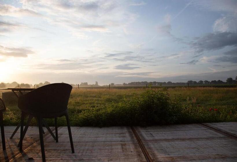 The Cat And The Owl B&b