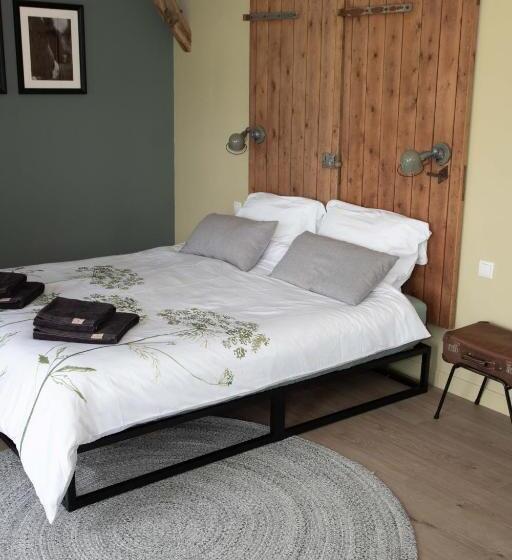 The Cat And The Owl B&b