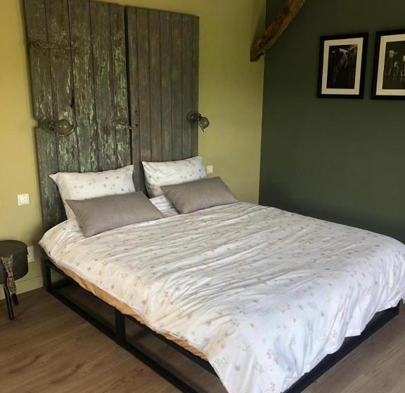 The Cat And The Owl B&b