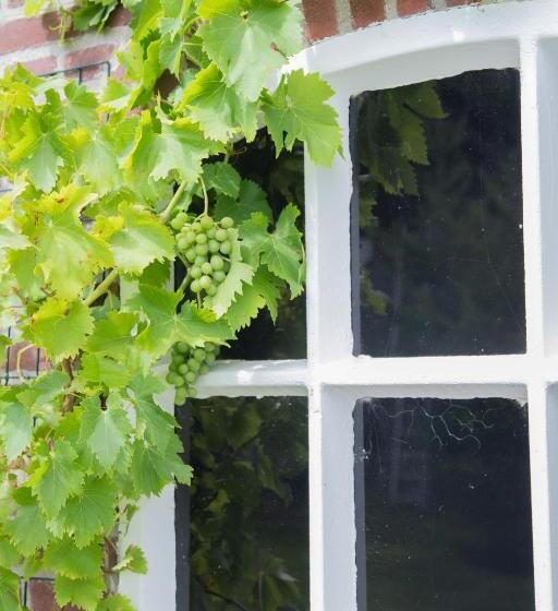 The Cat And The Owl B&b