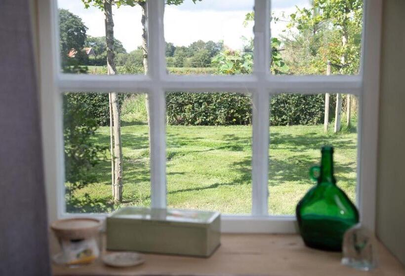 The Cat And The Owl B&b