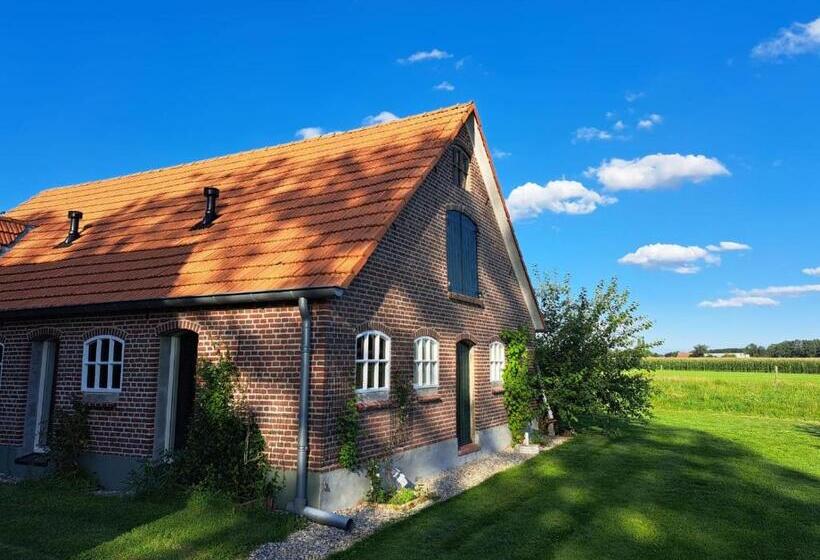 The Cat And The Owl B&b