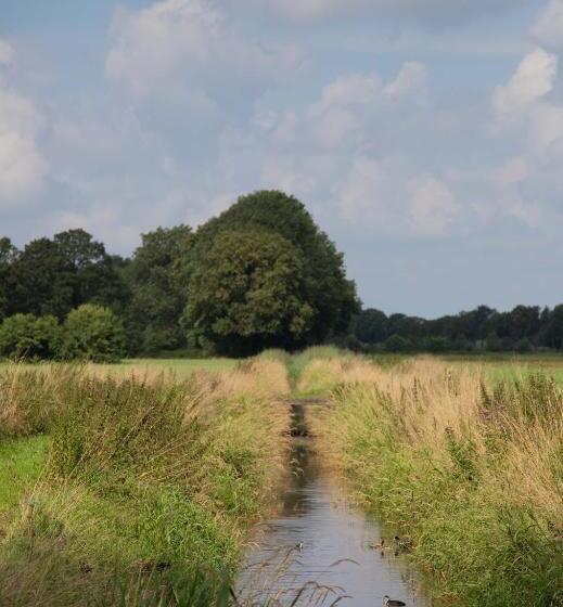 The Cat And The Owl B&b