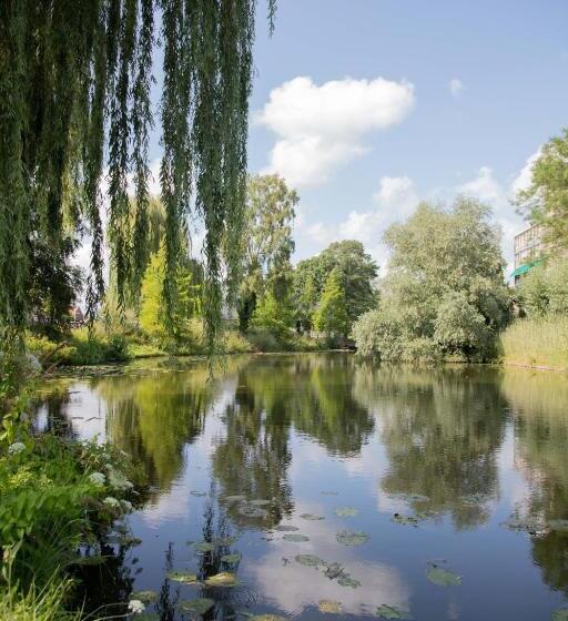 The Cat And The Owl B&b