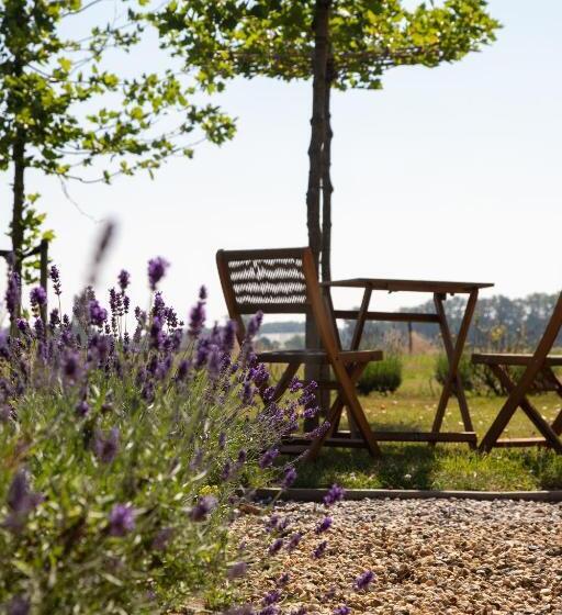 The Cat And The Owl B&b