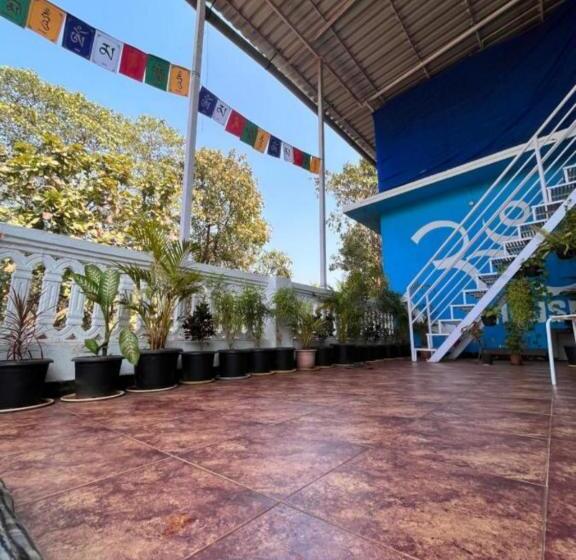 ユースホステル Dibs On Blue