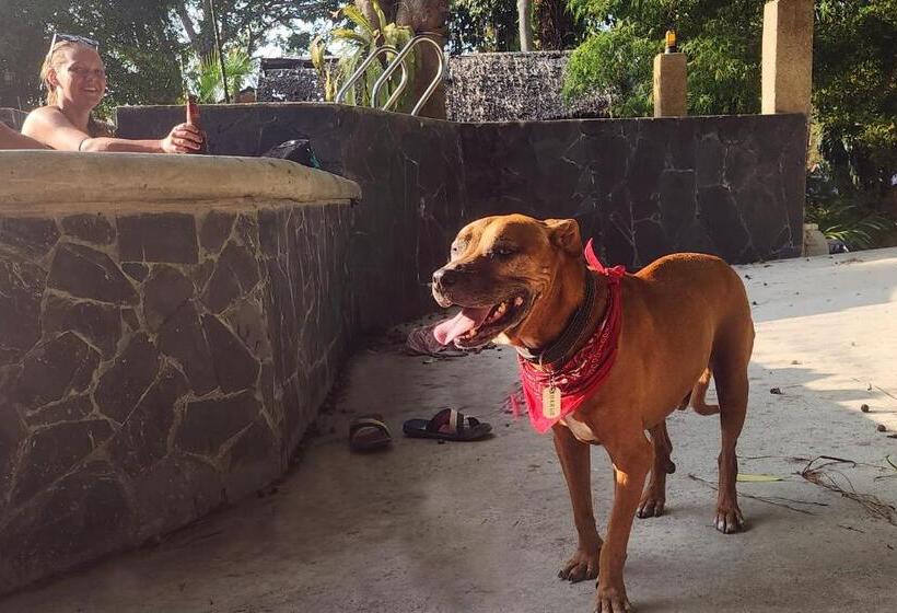 הוסטל Jungle Fever Koh Chang