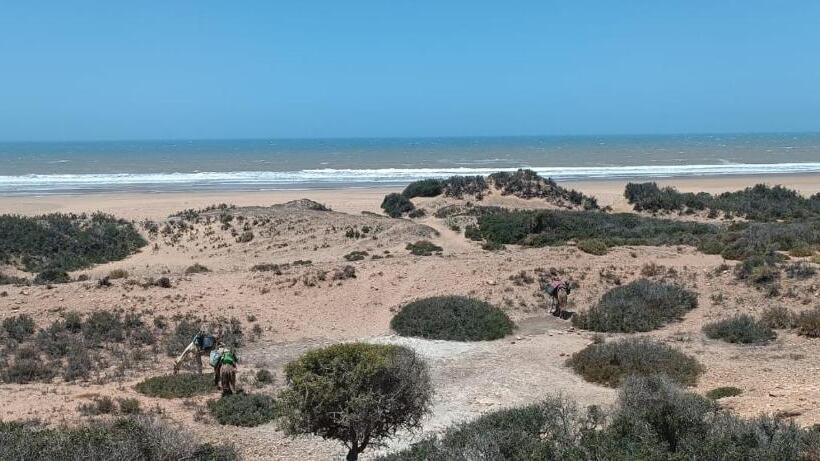 هاستل Khalifa House