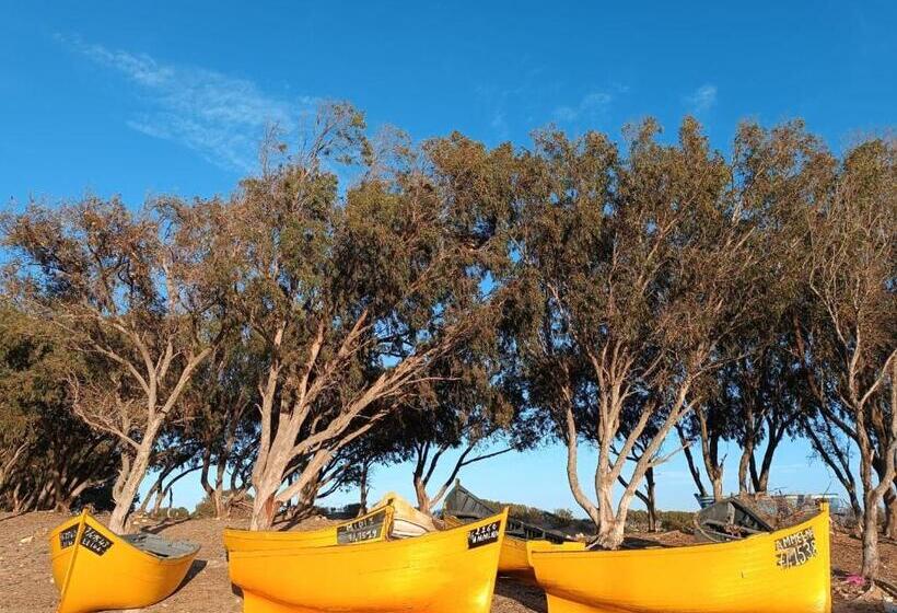 هاستل Khalifa House