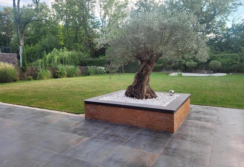 צימר Chambres Chez L Habitant Villa De Luxe