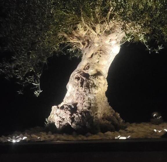 צימר Chambres Chez L Habitant Villa De Luxe