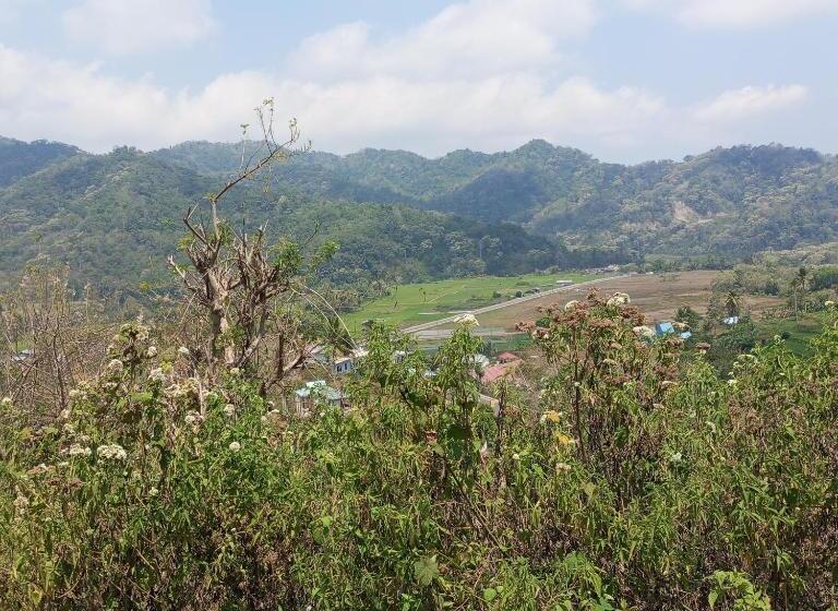 ベッドアンドブレックファースト Cheapackers