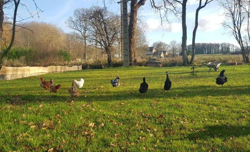 צימר L Eau Qui Dort   Chambres Et Tables D Hôtes