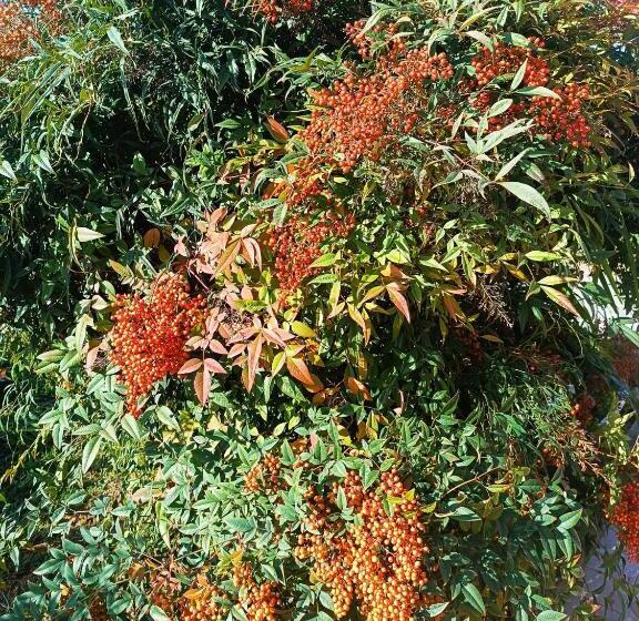 مبيت وإفطار La Casetta Di Ugo