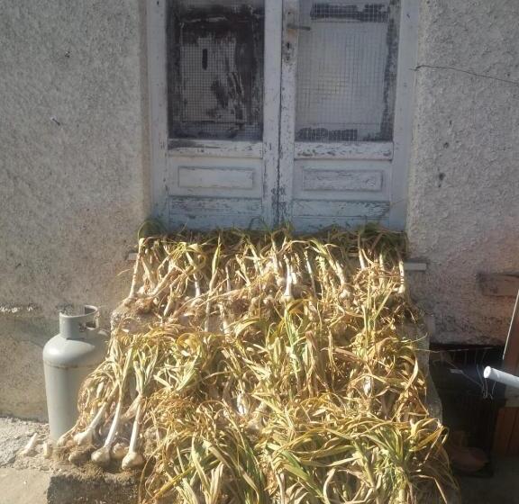 צימר La Locanda Del Pettirosso