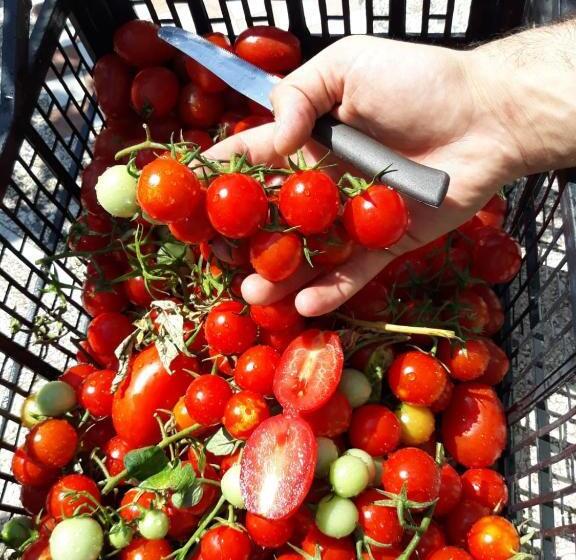 צימר La Locanda Del Pettirosso