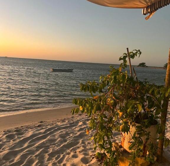 ベッドアンドブレックファースト Solita Beach Bungalow Kite Spot