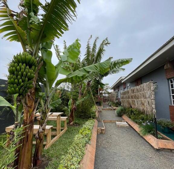 צימר The Safari Hub