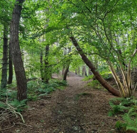 צימר Tiny House Aan Het Zuidlaardermeer   Vlakbij Groningen