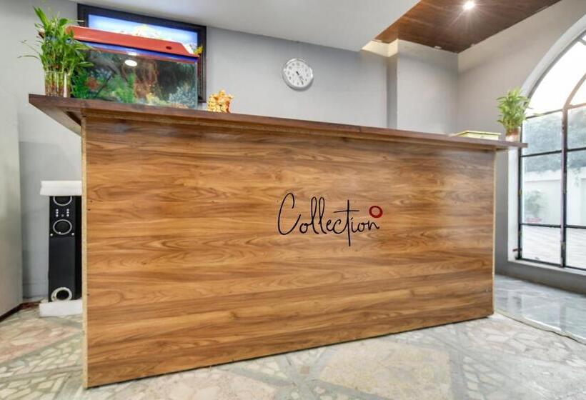 בית מלון כפרי Dr Green