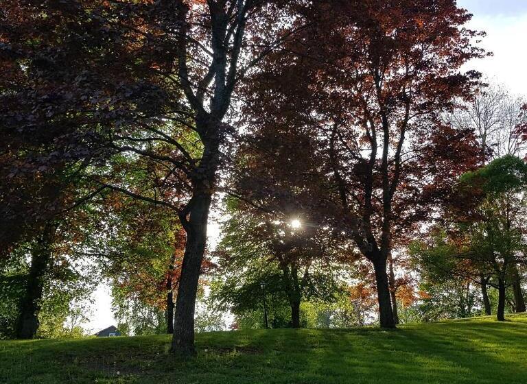 Forsså Herrgård Hotell Och Spa