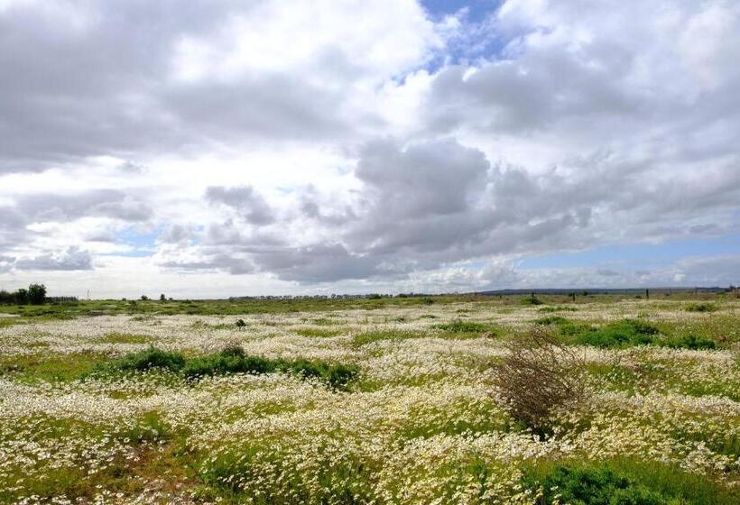 호텔 Blue Sky Retreat