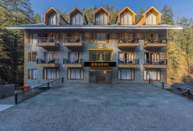 酒店 Bradhi   Echor Riverside Resort Jibhi