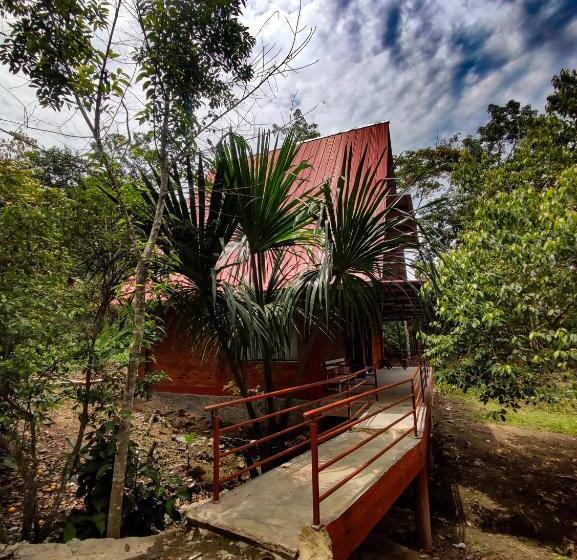 ホテル Cabañas Ecowasi