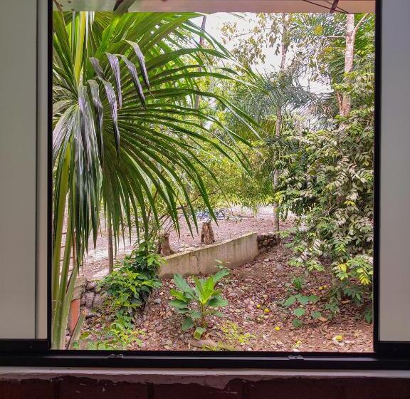 ホテル Cabañas Ecowasi