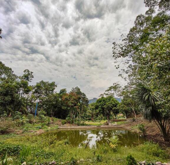 ホテル Cabañas Ecowasi