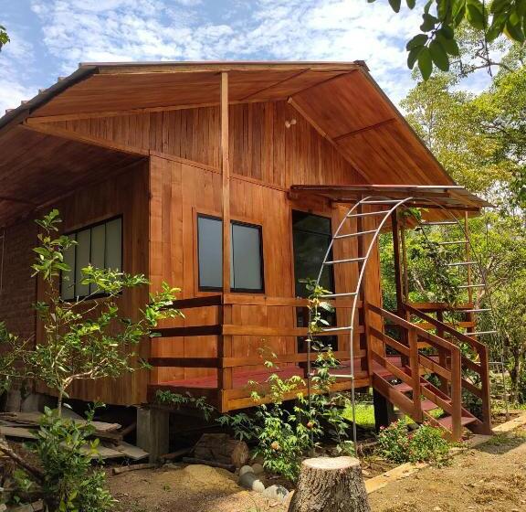 ホテル Cabañas Ecowasi