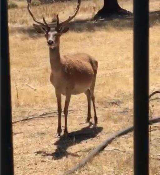 فندق Casa Da Gralheirinha