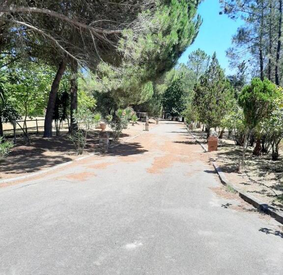 فندق Casa Da Gralheirinha