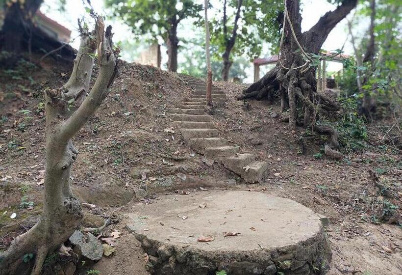 בית מלון כפרי Green Woods Resort