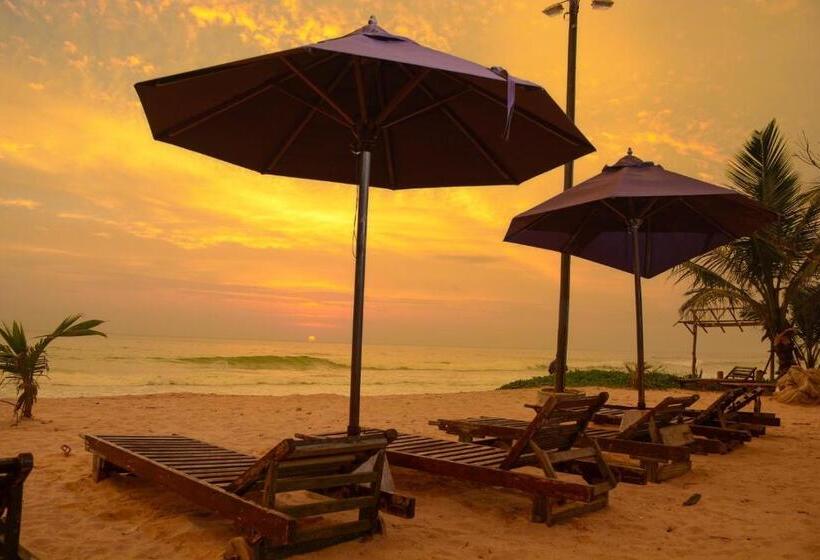 בית מלון כפרי Hikka Bliss