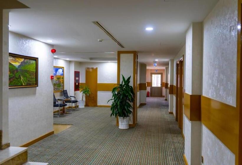 هتل Hilen De Ville