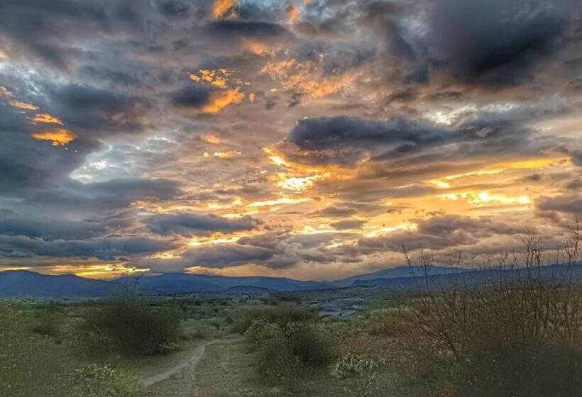 فندق Hospedaje Los Polos