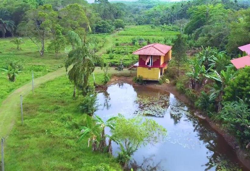 酒店 Manikgoda Tea Paradise